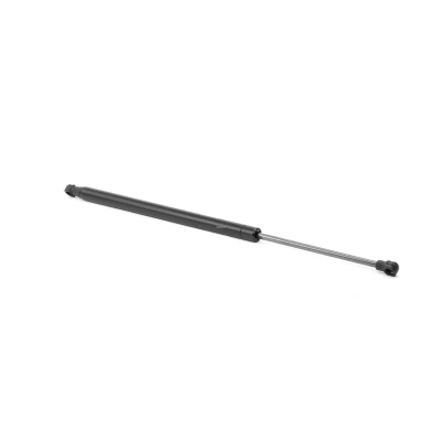 Abbildung von RIDEX 219G0221 Heckklappendämpfer 570 495 beidseitig CITROËN: C5 II Schrägheck