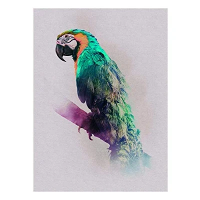 Abbildung von Komar Poster &quot;Animals Paradise Parrot&quot;, Tiere, (1 St.), Kinderzimmer, Schlafzimmer, Wohnzimmer