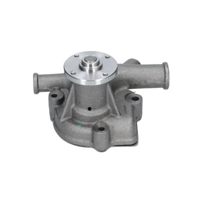 Abbildung von KAVO PARTS NW 1275 Wasserpumpe mit Dichtung