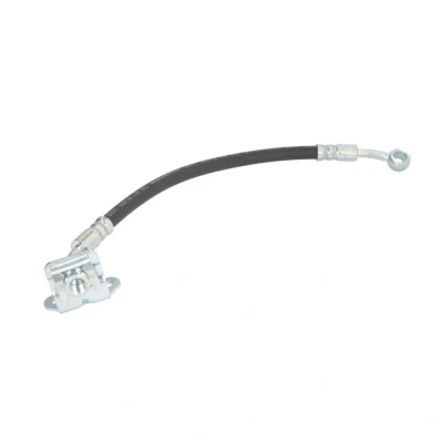 Abbildung von DELPHI LH7579 Bremsschläuche 300 120 SF KIA: CARNIVAL / GRAND 3