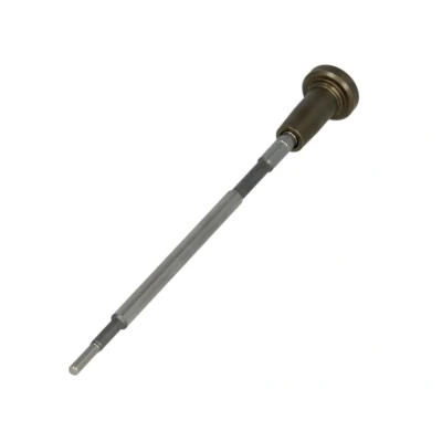 Abbildung von Ventilsatz, Injektor Common Rail BOSCH F 00V C01 306