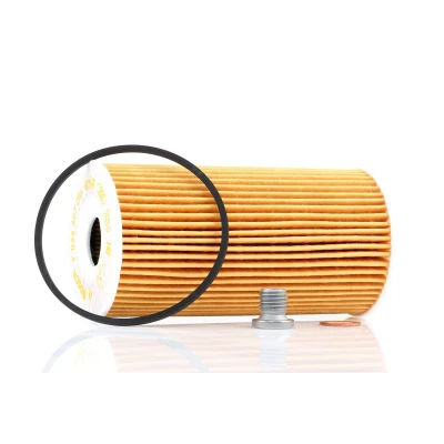 Abbildung von BOSCH F 026 407 206 Ölfilter mit Dichtungen Filtereinsatz LANCIA: Voyager, CHRYSLER: GRAND 5OYAGER 5