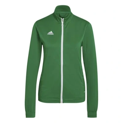 Abbildung von adidas Performance Trainingsjacke ENT22 TK JKTW