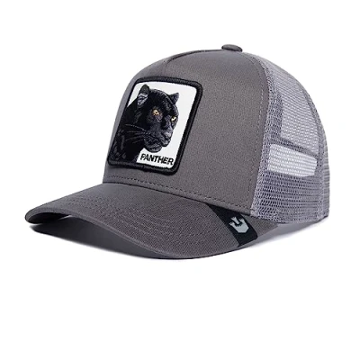 Abbildung von Goorin Bros Panther Grey Cap, Herren, Größe: One Size,