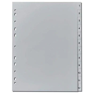 Abbildung von Herlitz 10843407 Register 1 12, 23 x 29,7 cm, PP, Eurolochung (20x 12)