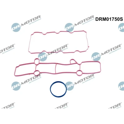 Abbildung von Dichtungssatz, Ansaugkrümmer Dr.Motor Automotive DRM01750S