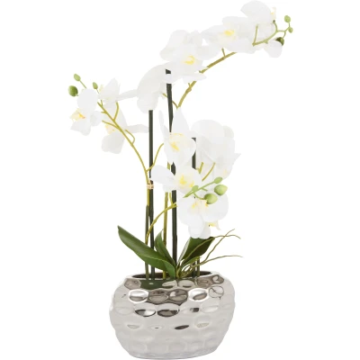 Abbildung von Leonique Kunstpflanze &quot;Orchidee&quot;, Kunstorchidee, im Topf
