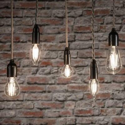 Abbildung von Paulmann 28817 Filament 230V LED Birne 2000lm 15 W dimmbar Warmweiß Klar Leuchtmittel Glas Beleuchtung 2700 K E27