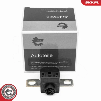 Abbildung von Sensor, Batteriemanagement ESEN SKV 96SKV330