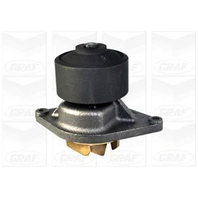 Abbildung von Wasserpumpe GRAF PA1060