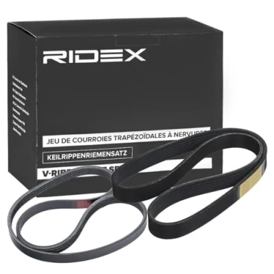 Abbildung von RIDEX 542R0572 Keilrippenriemensatz FORD: Transit Mk6 Kastenwagen, Tourneo Custom V362 Bus, FIAT: Ducato III Kastenwagen