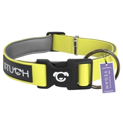 Abbildung von Hundehalsband gepolstert Lime M