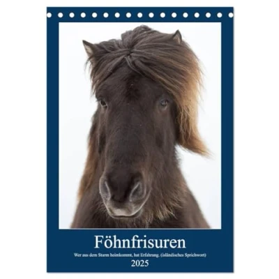 Abbildung von Föhnfrisuren (Tischkalender 2025 DIN A5 hoch), CALVENDO Monatskalender