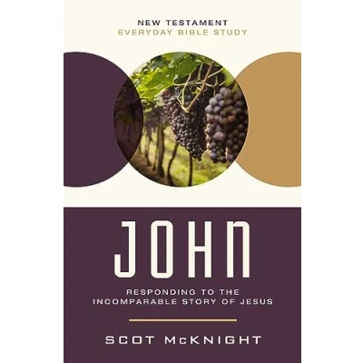 Abbildung von John: Responding to the Incomparable Story of Jesus (New Testament Everyday Bible Study Series)