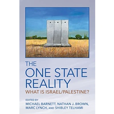 Abbildung von The One State Reality: What Is Israel/Palestine?