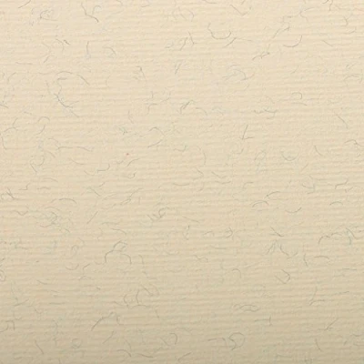Abbildung von Clairefontaine 93502C Packung (mit 25 Blätter, 130 g, Ingres Pastell Papier, gekörnt, 50 x 65 cm, ideal für Trockentechnik) creme marmoriert