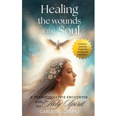 Abbildung von healing the wounds of soul: a transformative encounter with Holy Spirit (Complete and liberation soul)