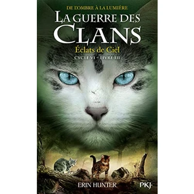 Abbildung von La Guerre des clans, Cycle VI tome 3 Éclats de Ciel