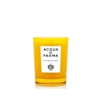 Abbildung von Acqua di Parma La Casa Sul Lago Room Fragrance Candle 200 g 0,2 kg
