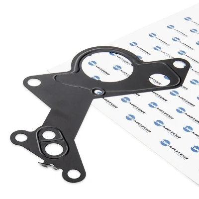 Abbildung von DR.MOTOR AUTOMOTIVE DRM0461 Dichtung, Unterdruckpumpe VOLKSWAGEN: Golf 4 Schrägheck, Touran I, Passat B6 Variant, AUDI: A4 B7 Limousine, Avant
