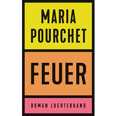 Abbildung von Feuer: Roman Der Bestseller aus Frankreich