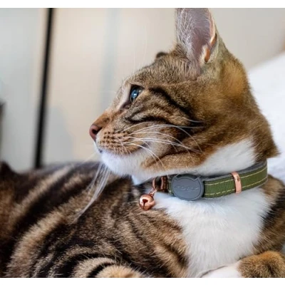 Abbildung von Rogz Catz Urbancat Halsband Oliv Twist Katzenhalsband S...