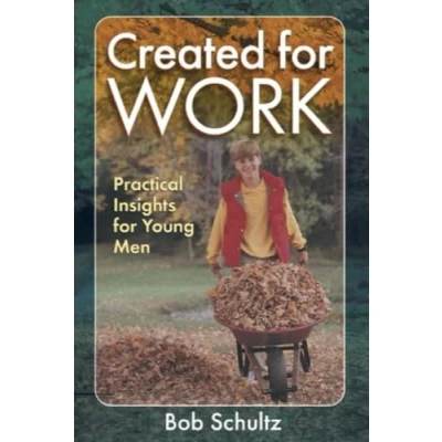 Abbildung von Created for Work: Practical insights young men
