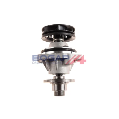 Abbildung von BOGAP B4234110 Wasserpumpe