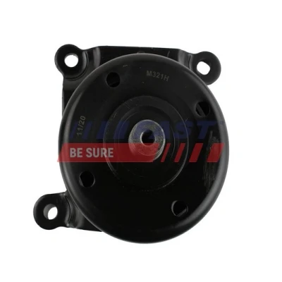 Abbildung von FAST FT44665 Spannrolle FORD: Transit Mk6 Kastenwagen, Bus, Pritsche/Fahrgestell, FIAT: Ducato III Kastenwagen