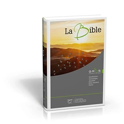 Abbildung von La Bible Segond 21 à gros caractères avec repères chronologiques et notes standard, rigide, illustrée