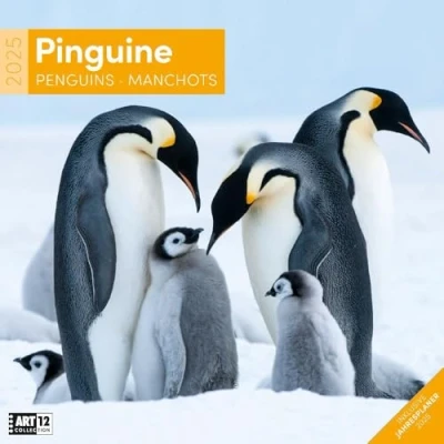 Abbildung von Pinguine 2025, Wandkalender / Broschürenkalender im Hochformat (aufgeklappt 30x60 cm) Art12 Geschenk Kalender mit Monatskalendarium zum Eintragen