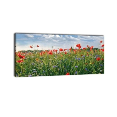 Abbildung von wandmotiv24 Leinwandbild Panorama Nr. 401 Blumenwiese 100x40cm, Keilrahmenbild, Bild auf Leinwand, Feld Sommer Blüten
