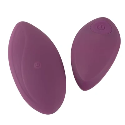 Abbildung von Auflegevibrator mit Fernbedienung