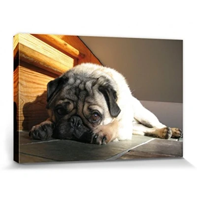 Abbildung von 1art1 Hunde Poster Yoga Mops Bilder Leinwand Bild Auf Keilrahmen XXL Wandbild Kunstdruck Als Leinwandbild 30x20 cm