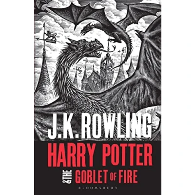 Abbildung von Harry Potter and the Goblet of Fire: Adult Paperback Editions (2018 rejacket) (Harry Potter, 4)