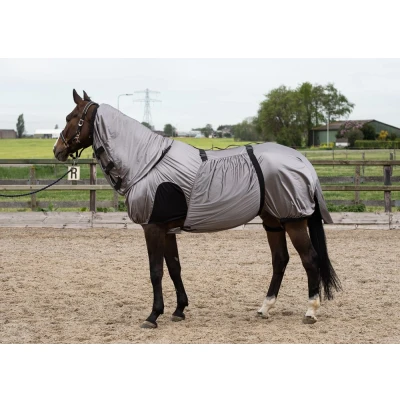 Abbildung von Harry&#039;s Horse Ekzem /Fliegendecke UV Grau / Silber Unterlänge: 165 cm &amp; Rückenlänge: 115