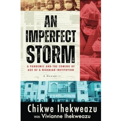 Abbildung von An Imperfect Storm: a Pandemic and the Coming of Age Nigerian Institution