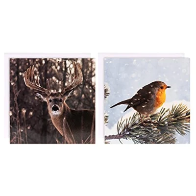 Abbildung von Hallmark Weihnachtskarten Set für Wohltätigkeitsorganisationen, 10 Karten in 2 Designs der Fotogalerie Kollektion