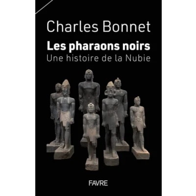 Abbildung von Les pharaons noirs Une histoire de la Nubie