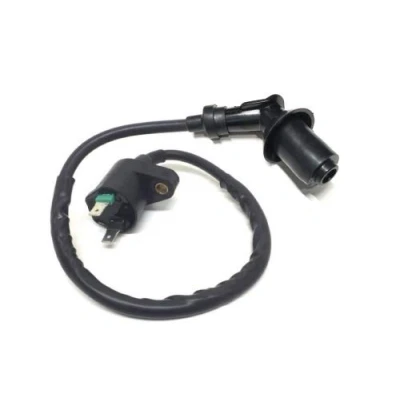 Abbildung von Zündspule u. Zündkerzenstecker für 4 Takt China Baumarkt Roller Rex RS 450