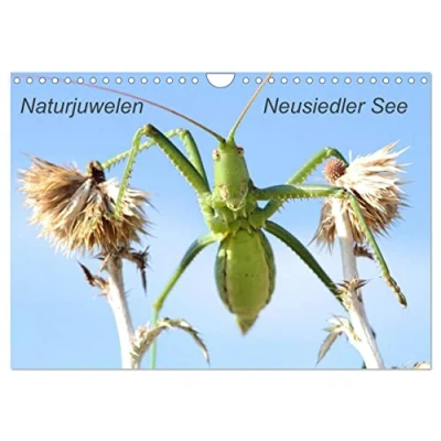Abbildung von Naturjuwelen Neusiedler See (Wandkalender 2025 DIN A4 quer), CALVENDO Monatskalender