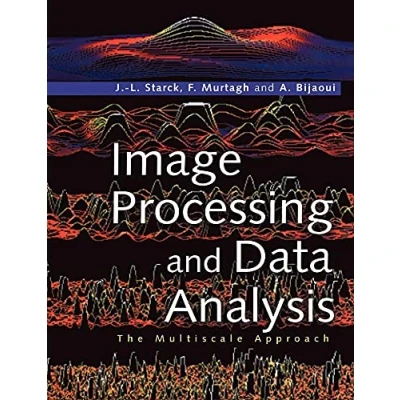 Abbildung von Image Processing and Data Analysis: The Multiscale Approach