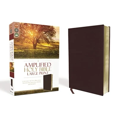 Abbildung von Amplified Holy Bible, Large Print, Bonded Leather, Burgundy: Captures the Full Meaning Behind Original Greek and Hebrew