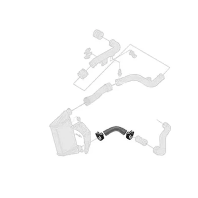 Abbildung von BORG &amp; BECK BTH1125 Ladeluftschlauch AEM (Ethylen Acrylat Kautschuk) ohne Schlauchklemme VOLKSWAGEN: Passat B5 GP Variant, Variant
