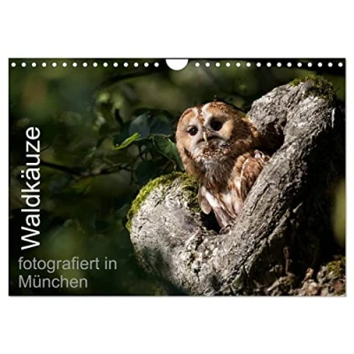 Abbildung von Waldkäuze, fotografiert in München (Wandkalender 2025 DIN A4 quer), CALVENDO Monatskalender