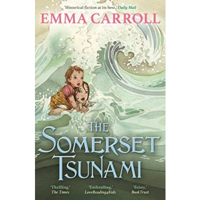 Abbildung von The Somerset Tsunami: &#039;The Queen of Historical Fiction at her finest.&#039; Guardian: 1