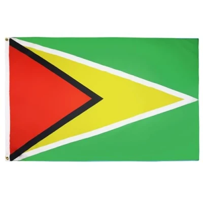 Abbildung von AZ FLAG Flagge Guyana 90x60 cm Kooperative Republik Fahne 100% Polyester mit Messing Ösen 50g