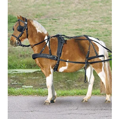 Abbildung von Waldhausen Geschirr Einspänner Nylon Schwarz Pony