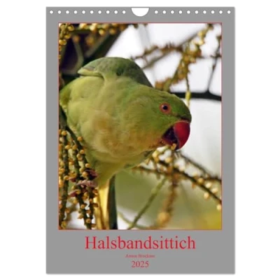Abbildung von Halsbandsittich (Wandkalender 2025 DIN A4 hoch), CALVENDO Monatskalender