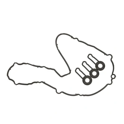 Abbildung von ELRING 449.650 Dichtungssatz, Zylinderkopfhaube BMW: 1 Schrägheck, X1, 2 Gran Tourer